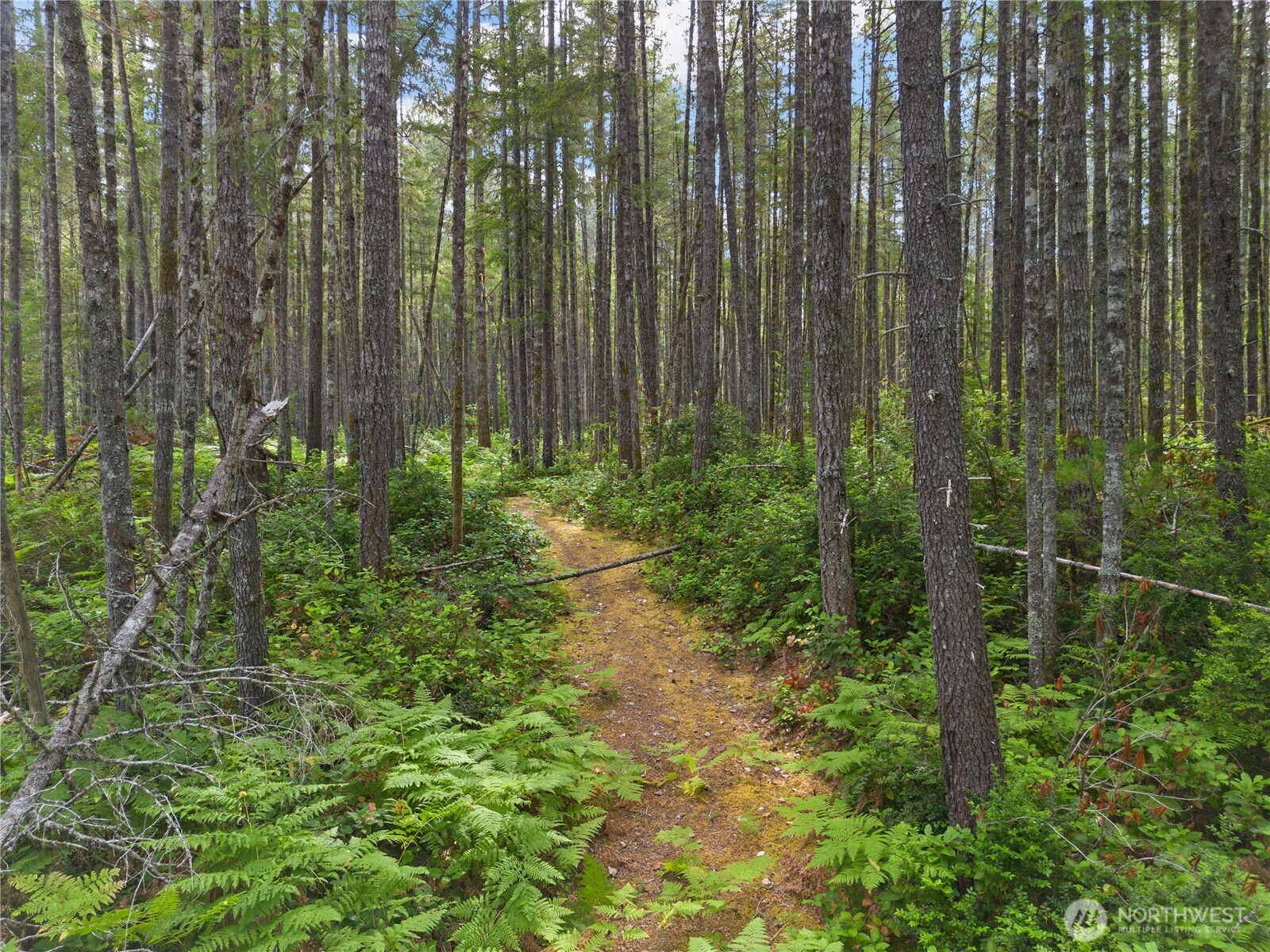 190 NE Pine Camp Road