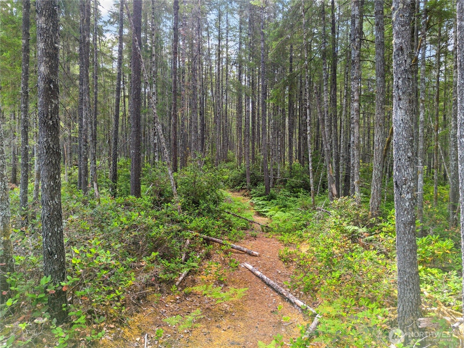 190 NE Pine Camp Road