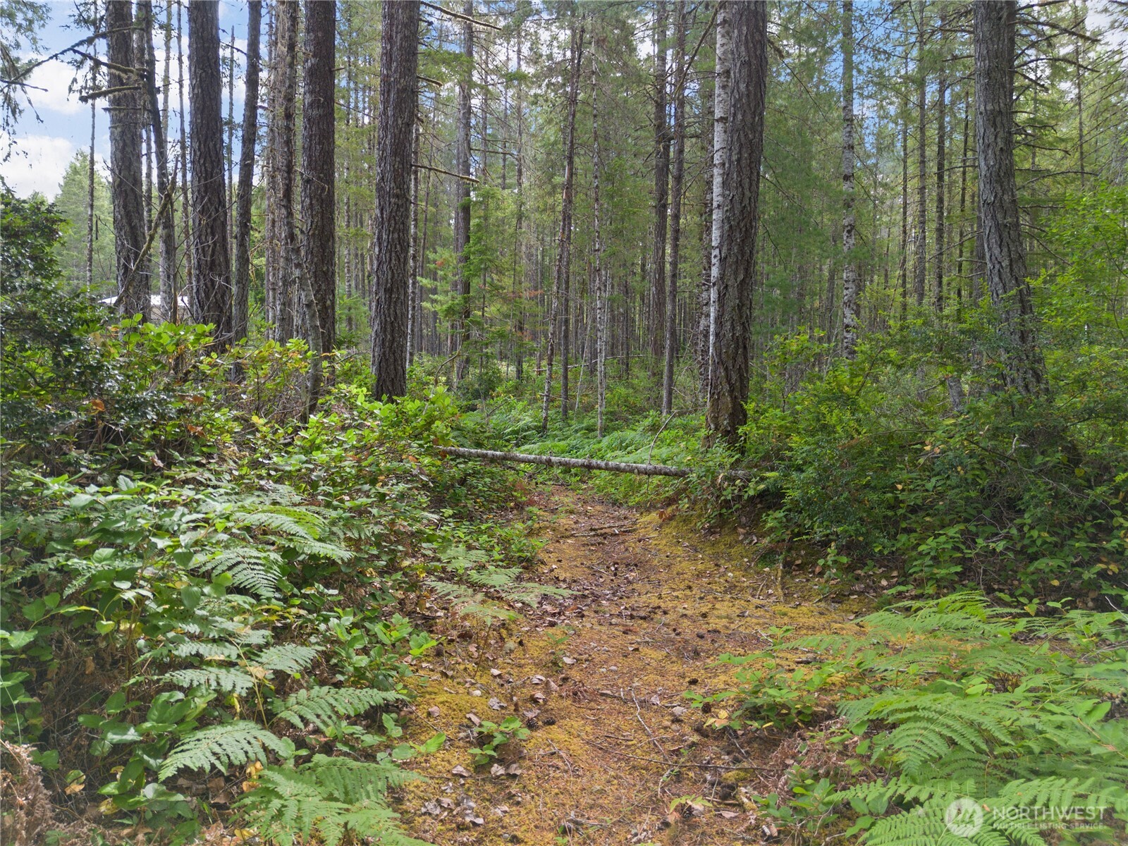 190 NE Pine Camp Road