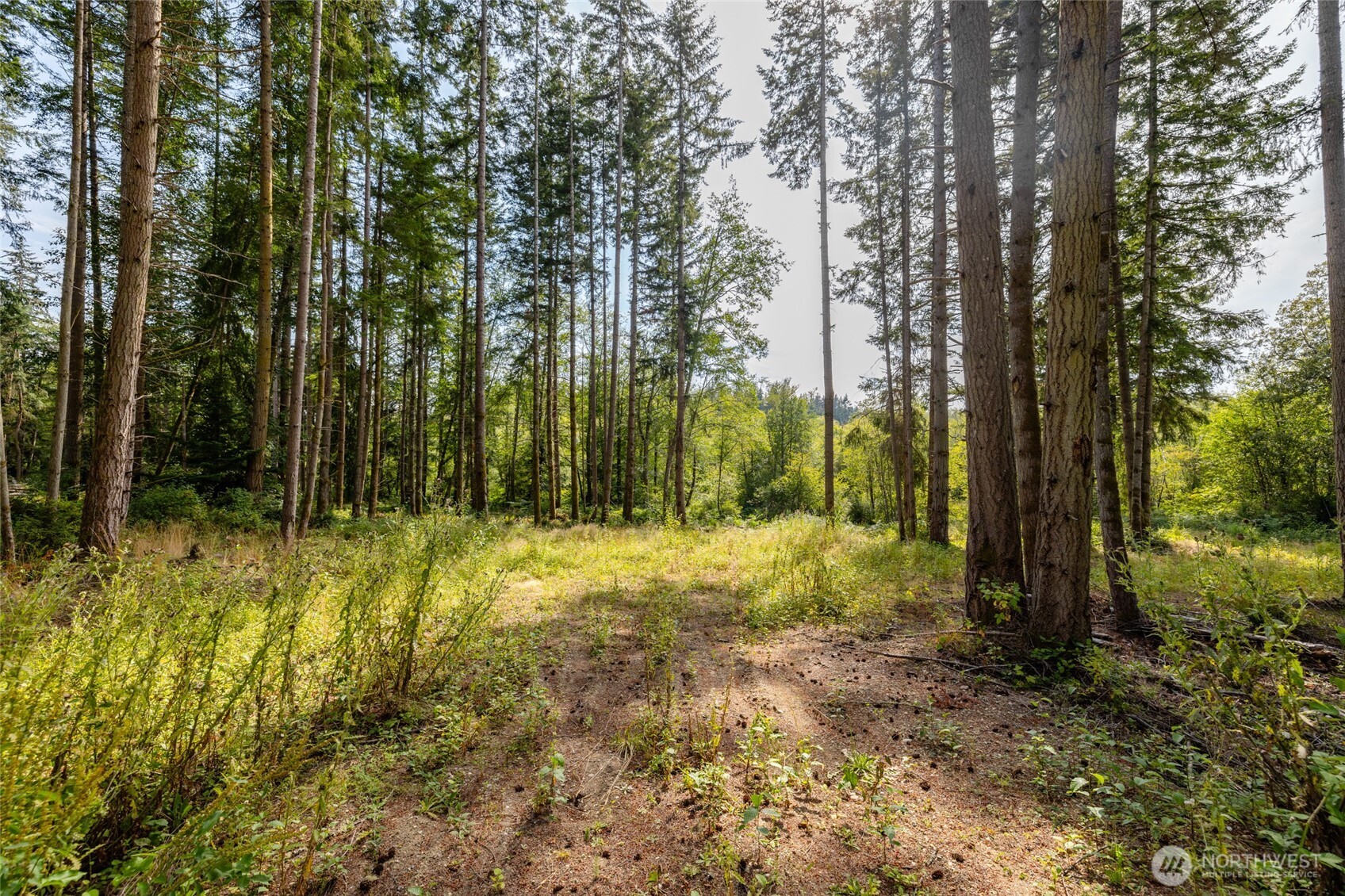 0 XXX Bailey Road (Lot 2)