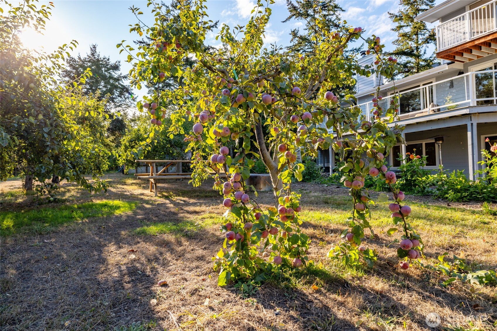 1407 Arnold Road