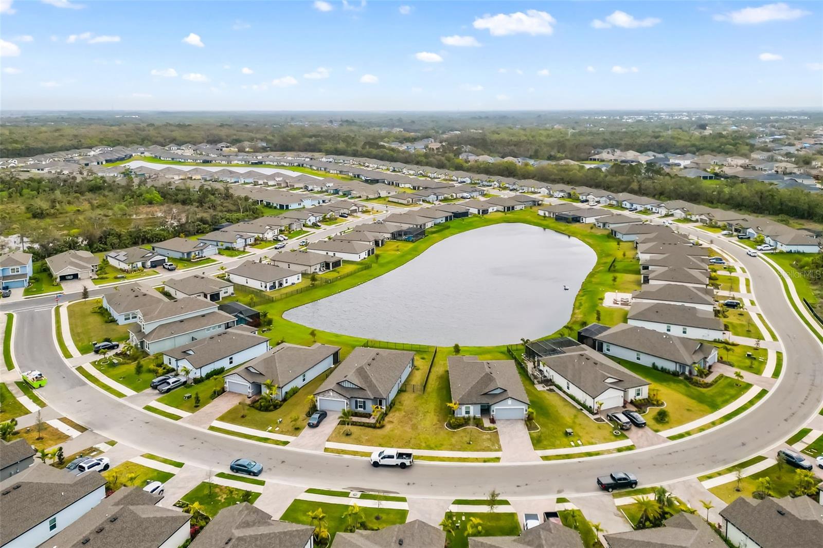 5533 PATANO LOOP