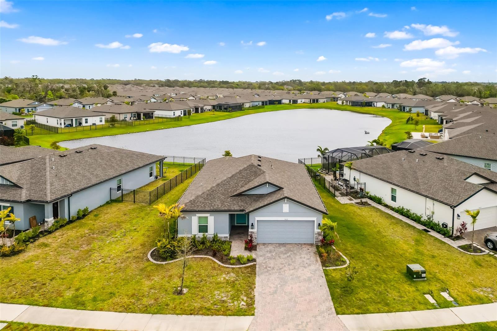 5533 PATANO LOOP