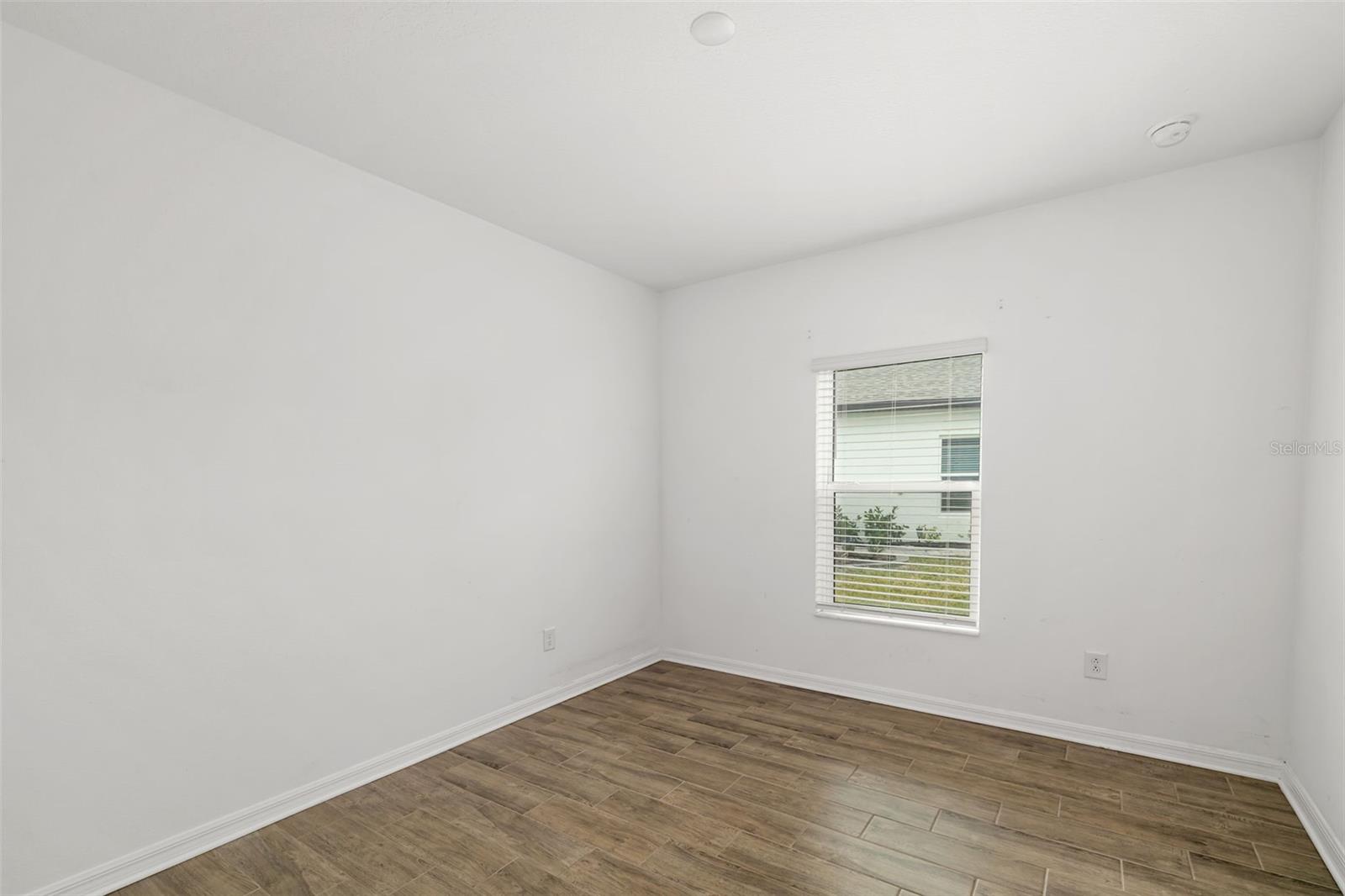 5533 PATANO LOOP