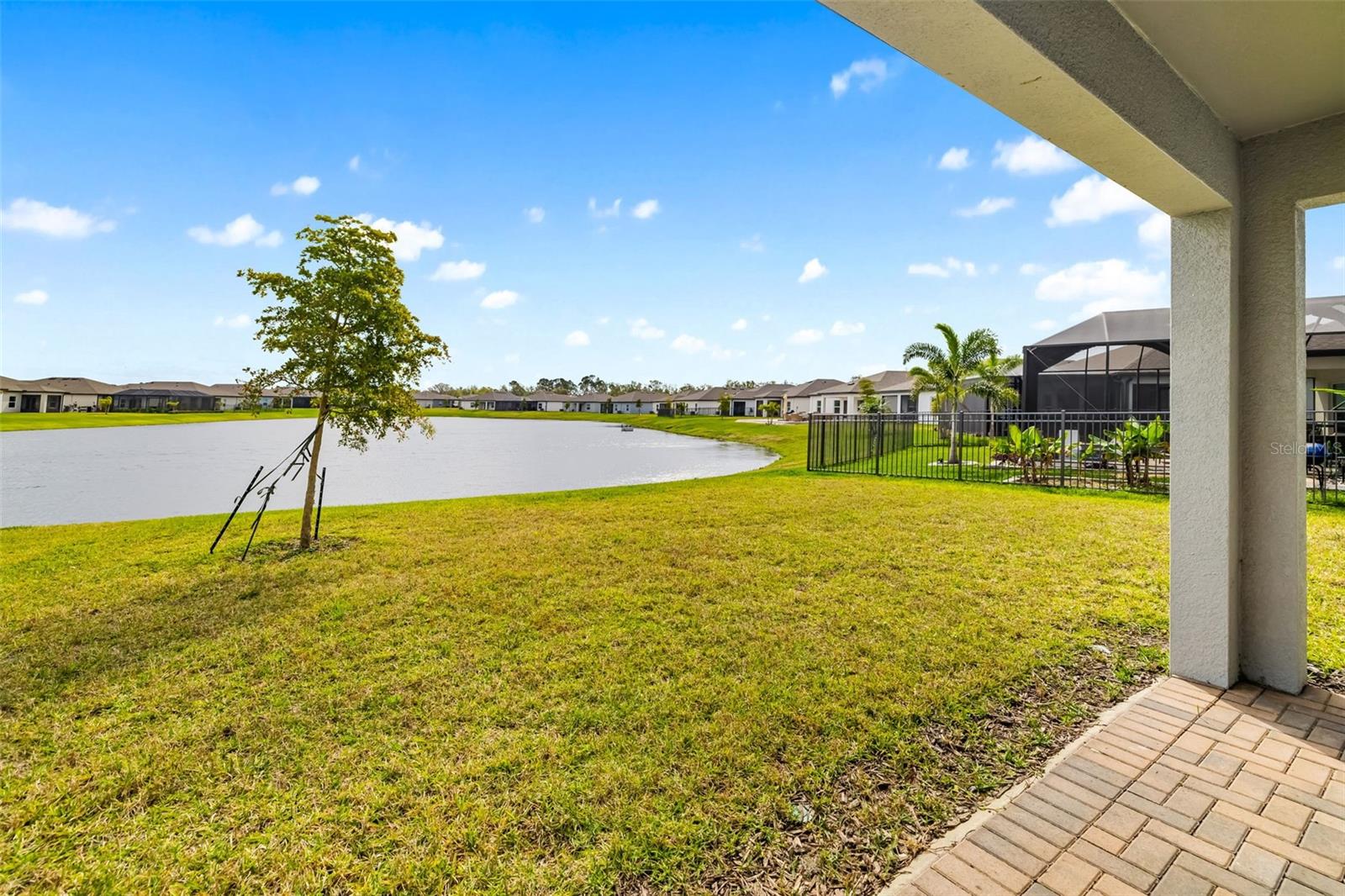 5533 PATANO LOOP