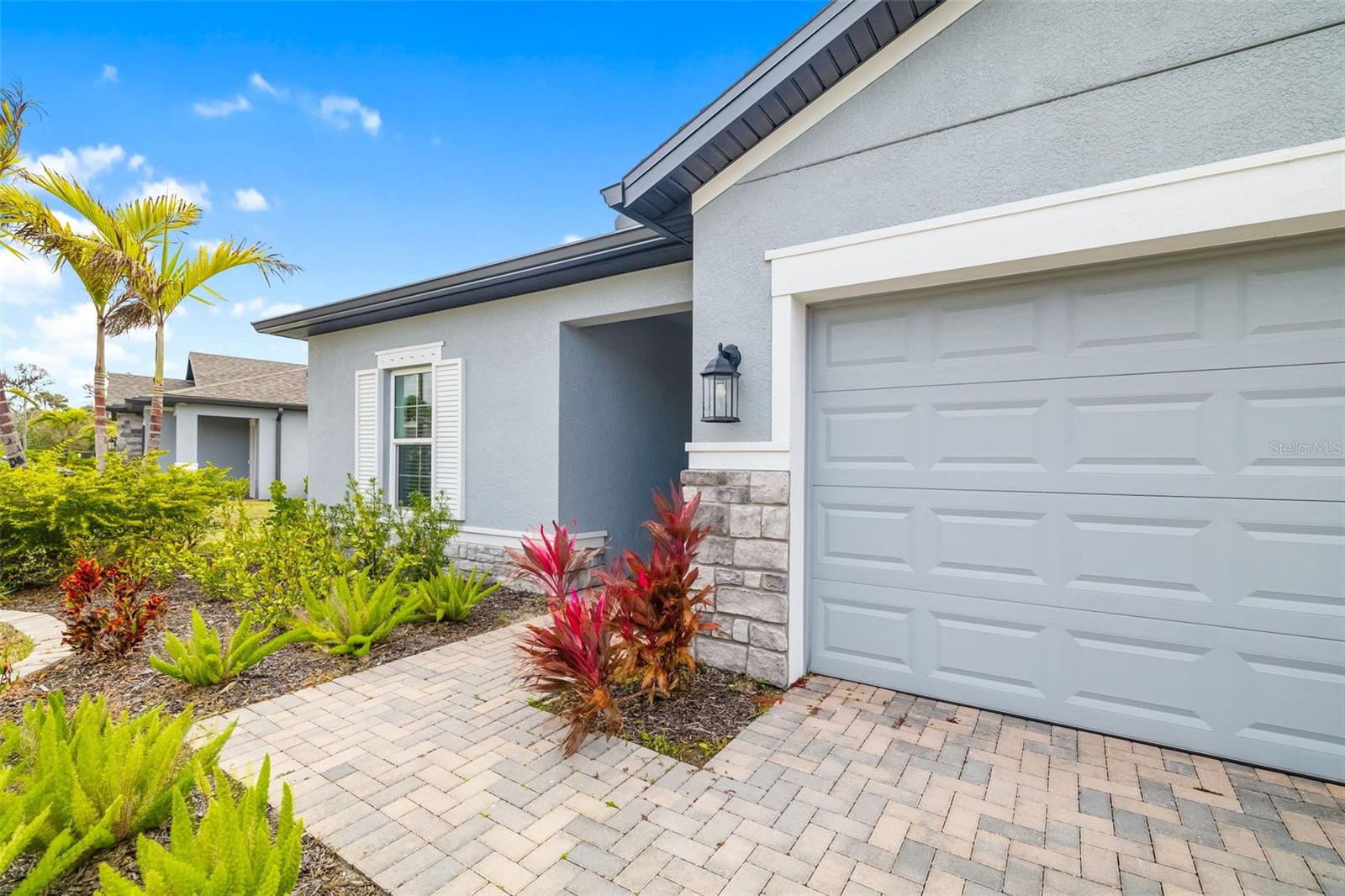 5533 PATANO LOOP