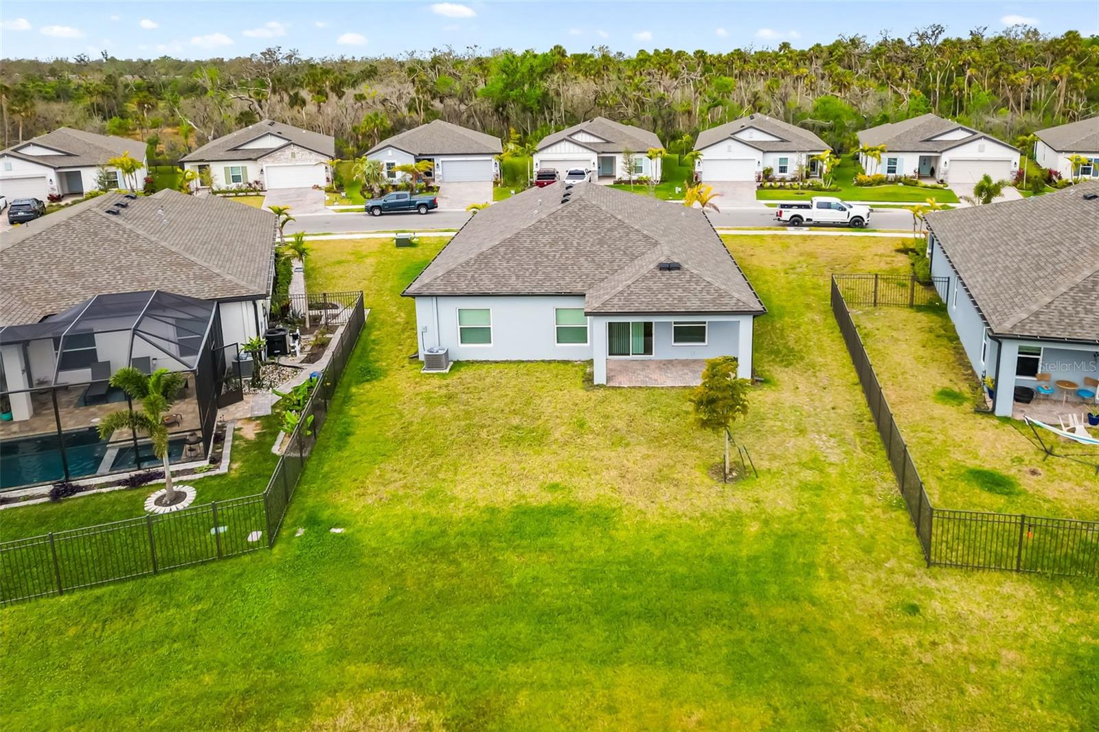 5533 PATANO LOOP