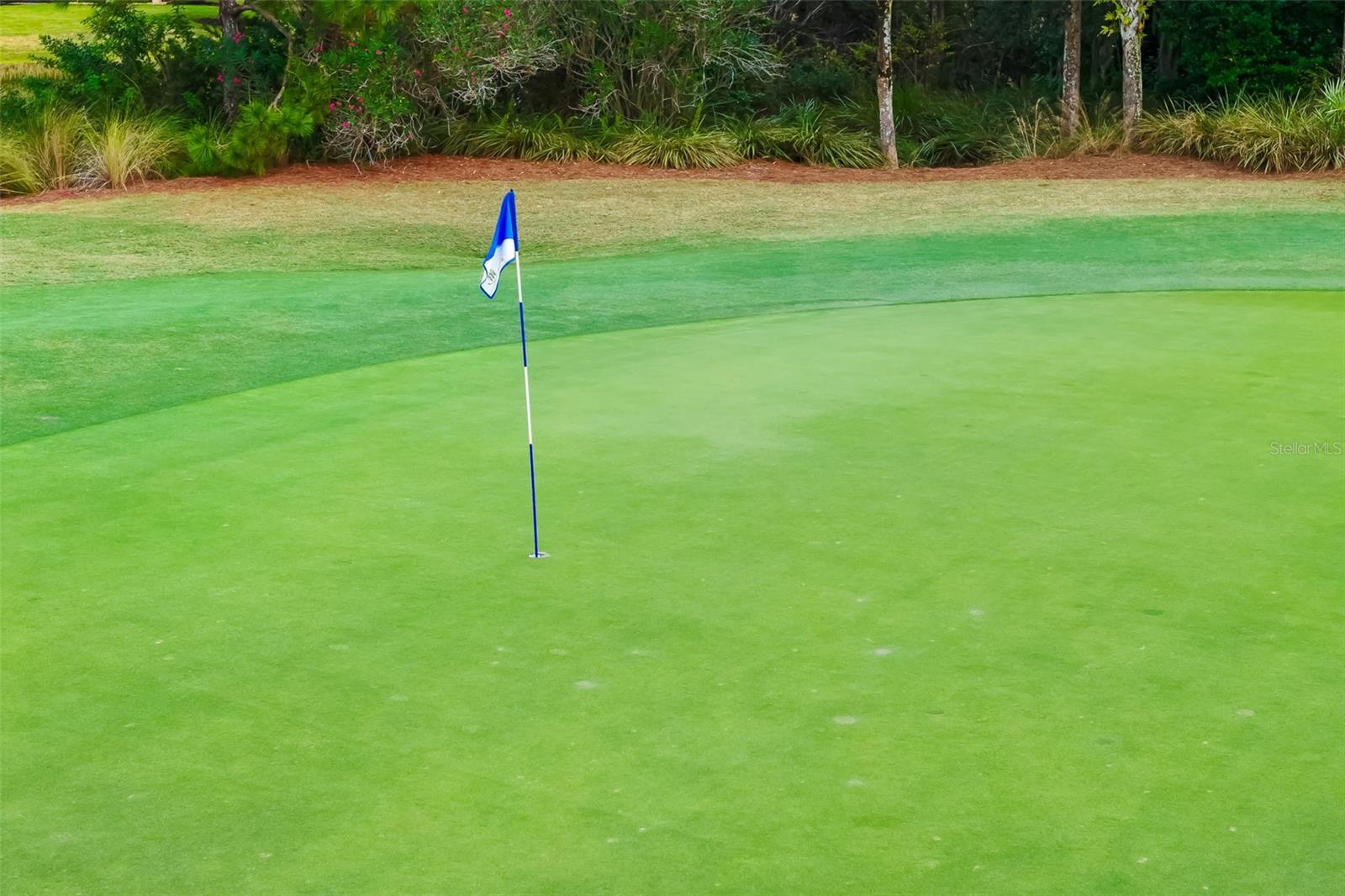 12729 DEL CORSO LOOP