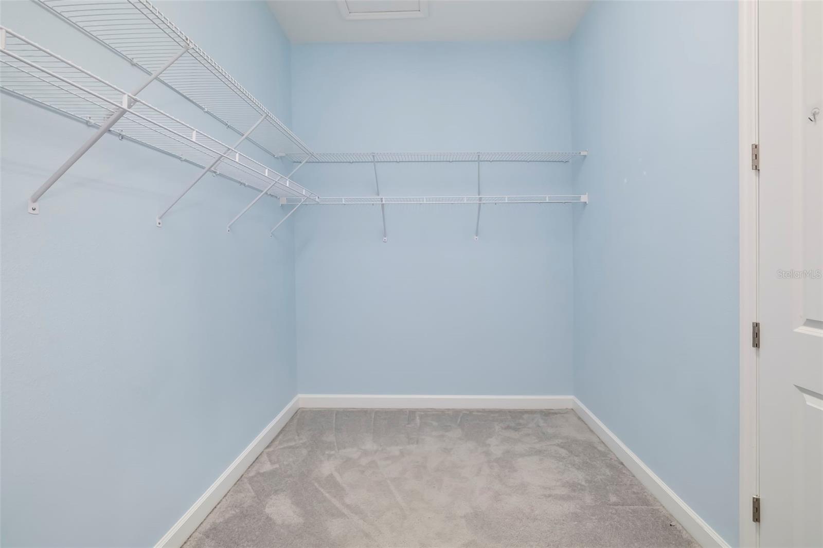 Empty walk-in closet with blue walls, gray carpet, and white wire shelving.