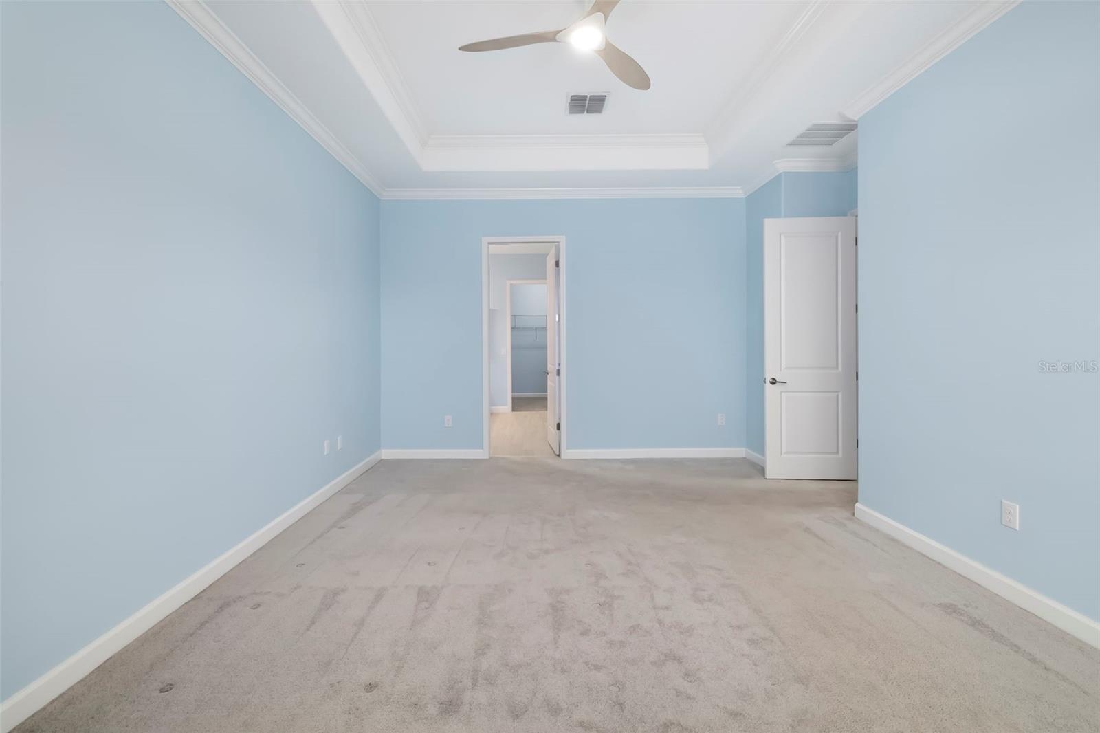 Empty bedroom with pale blue walls, beige carpet, tray ceiling, and ceiling fan.