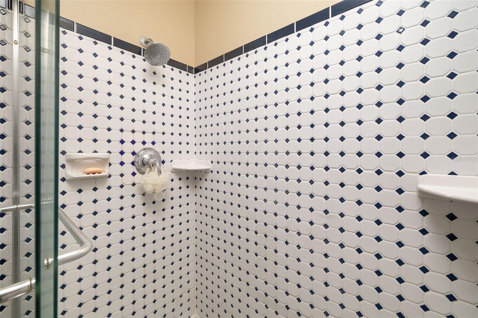 Bathroom shower with white and navy patterned tile, glass enclosure, and chrome fixtures.