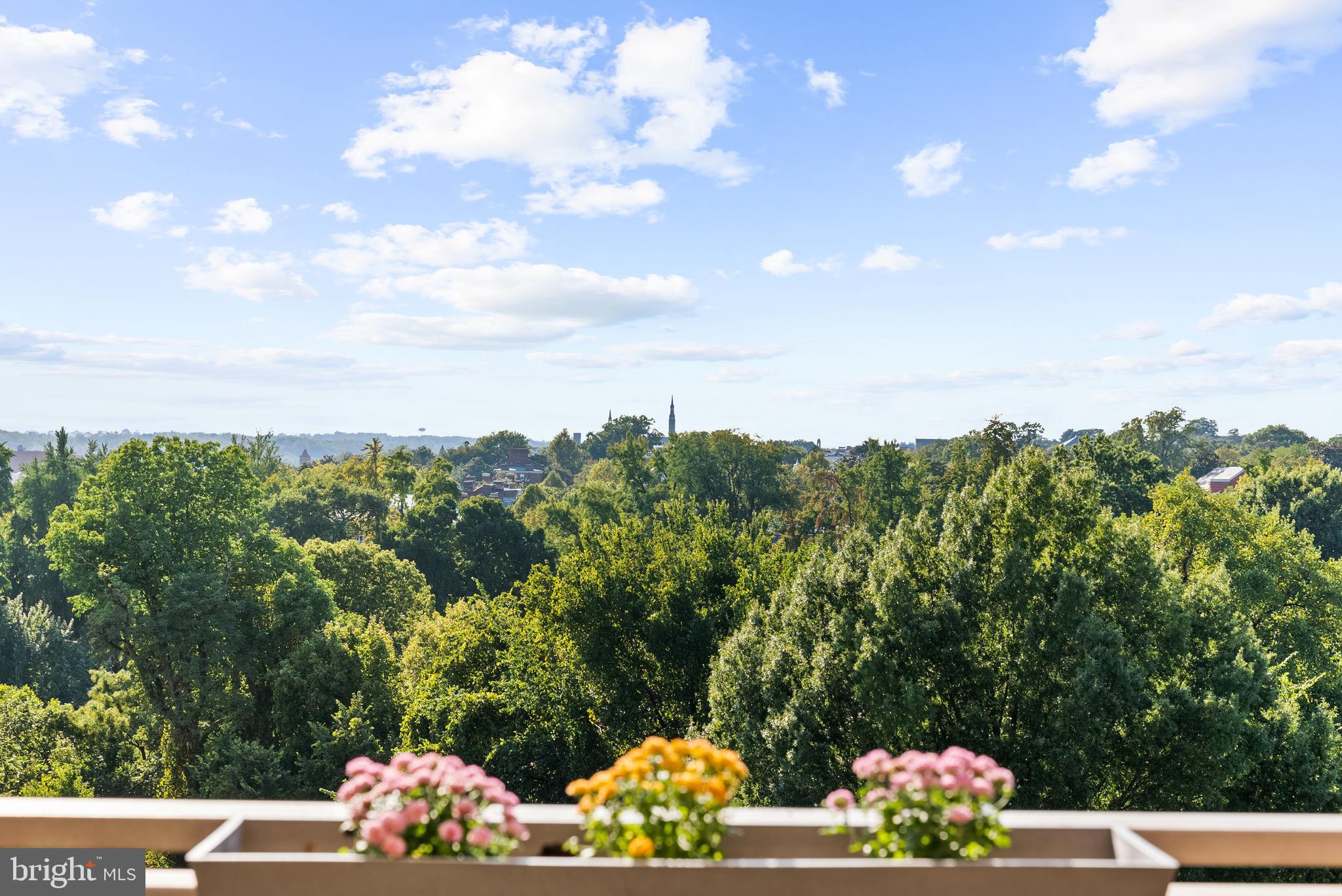 1275 25TH STREET NW 610