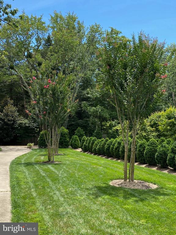 3022 FOX MILL ROAD