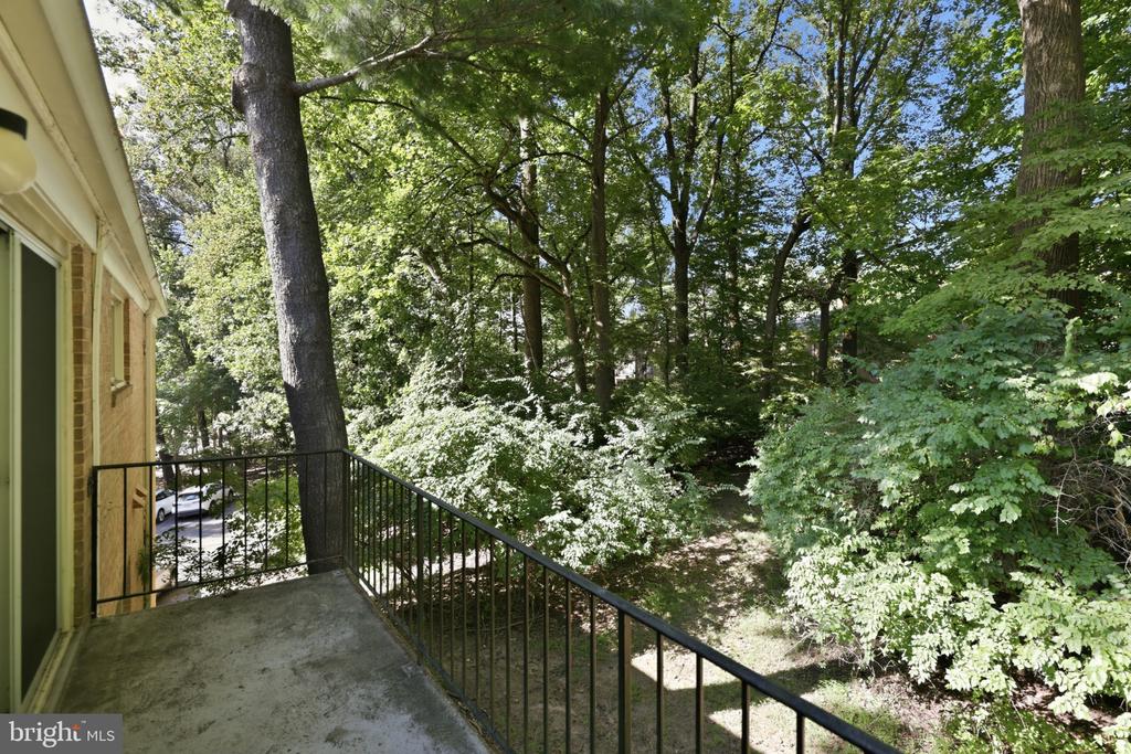 Concrete balcony with black railings overlooking mature trees and wooded grounds.