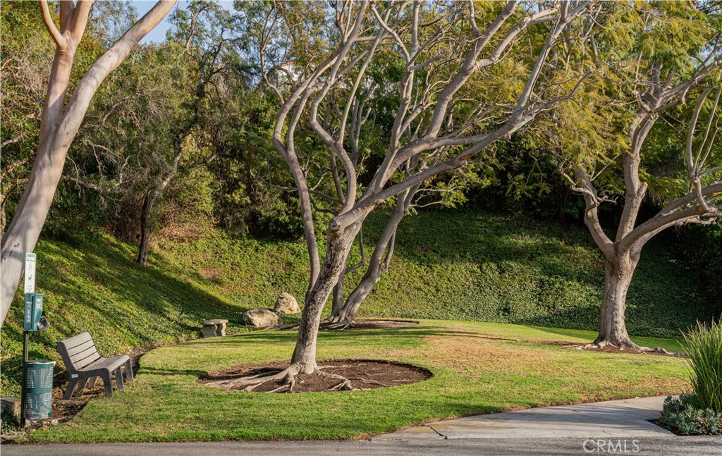 3200 La Rotonda Drive 405
