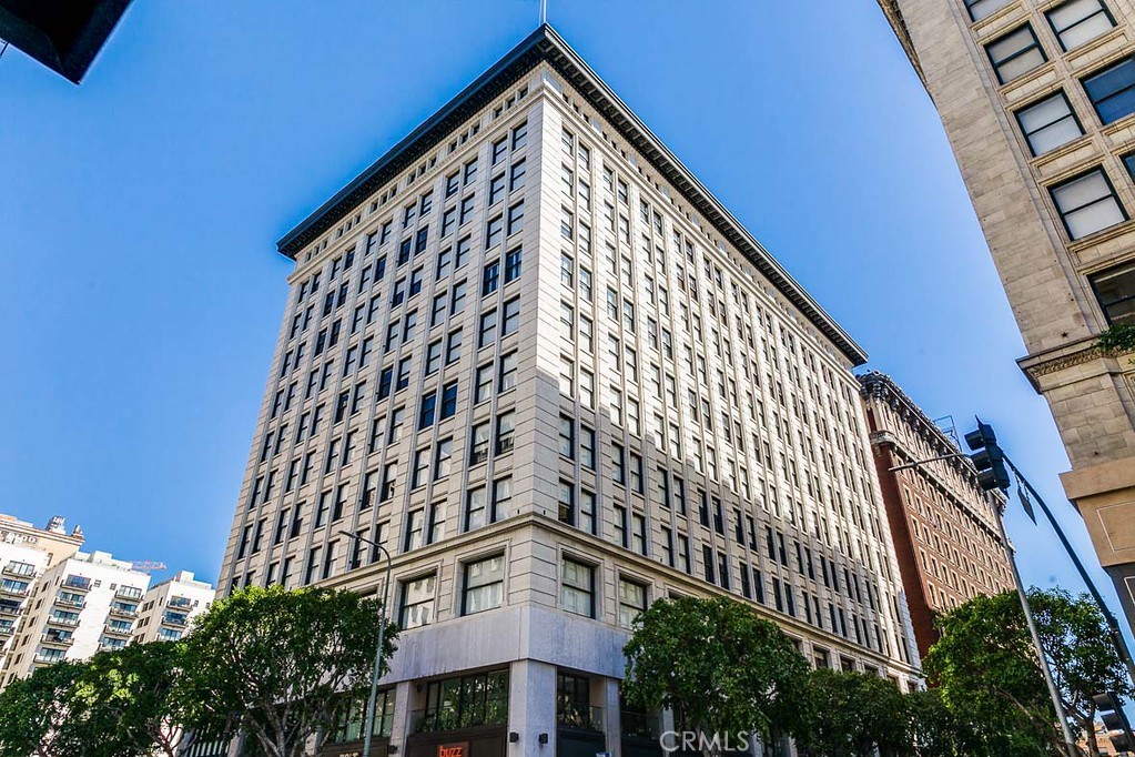 460 S Spring Street 1013