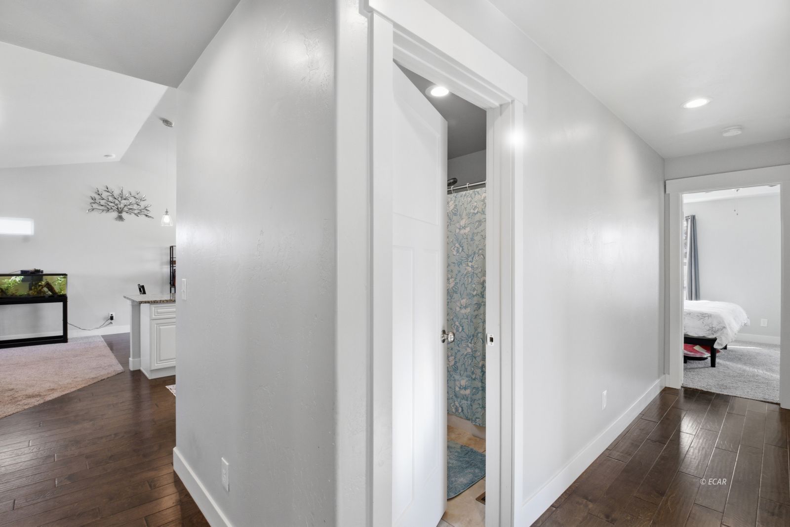 224 Spring Creek Parkway