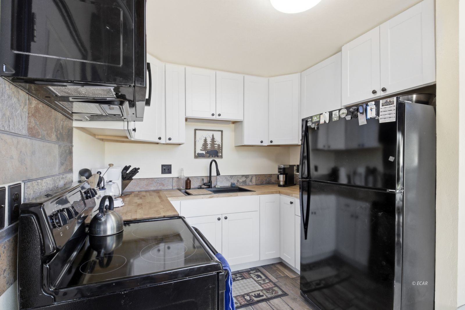 599 Wolf Creek Drive