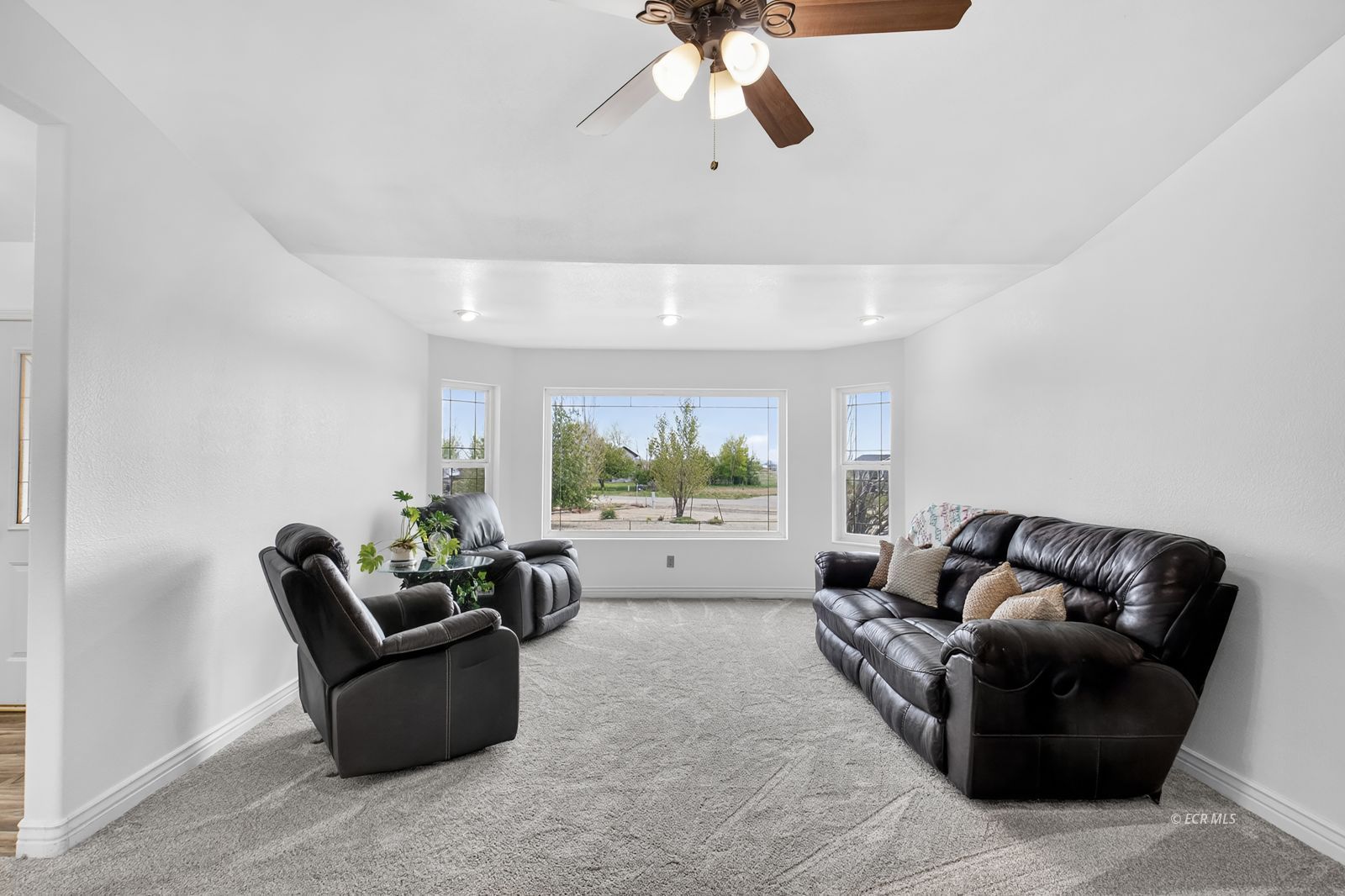 466 Lawndale Drive