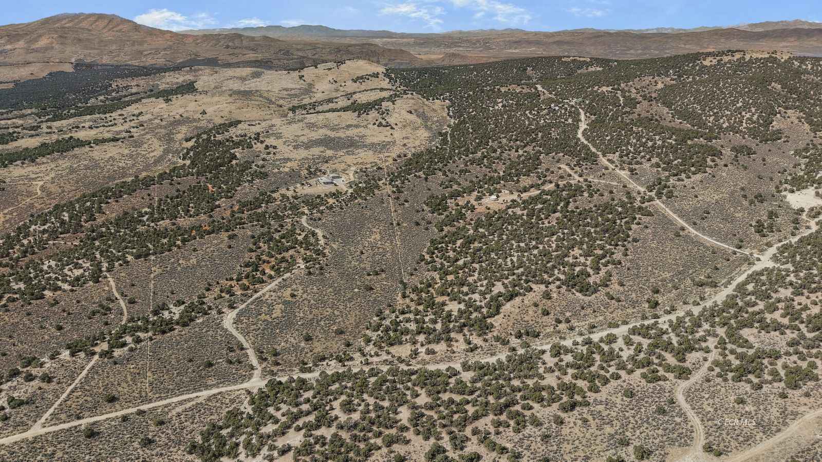 Aerial view of rugged, tree-dotted land crossed by dirt roads, with distant hills.