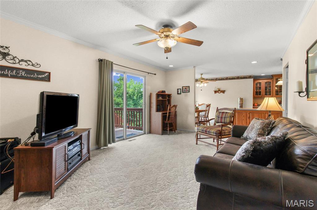 3529 Antonia Woods Drive