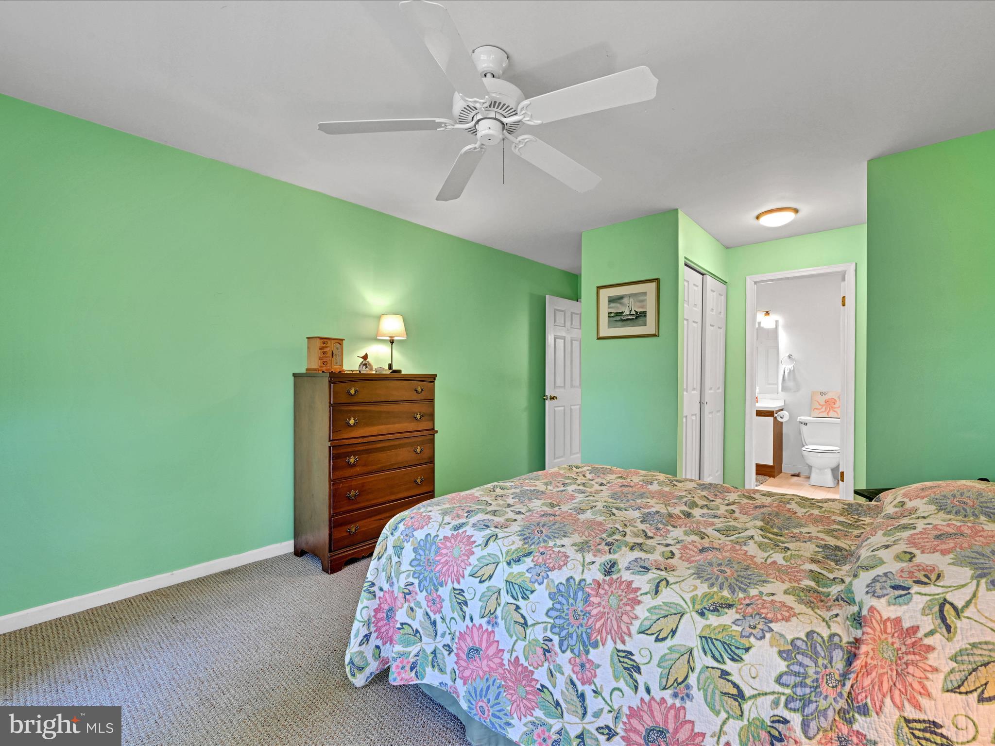 205 COUNTRY PLACE DRIVE