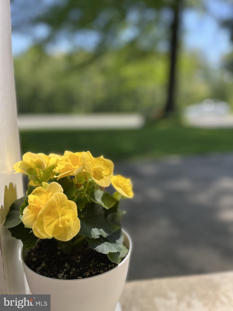 678 N STRICKLER ROAD