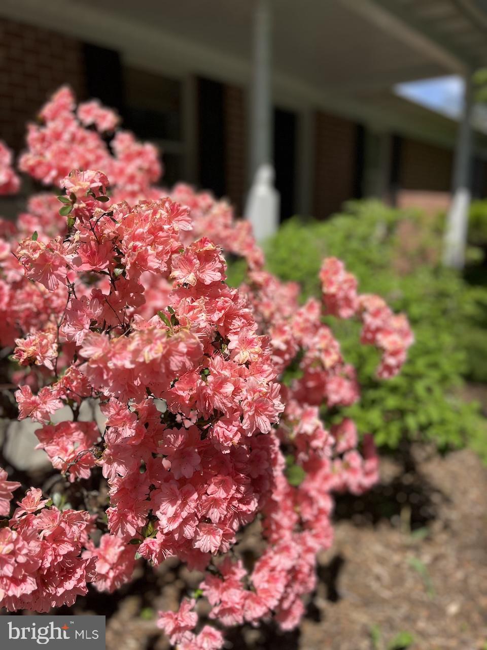 678 N STRICKLER ROAD