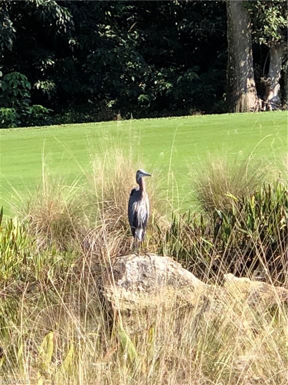 373 Palm DR Unit: 702