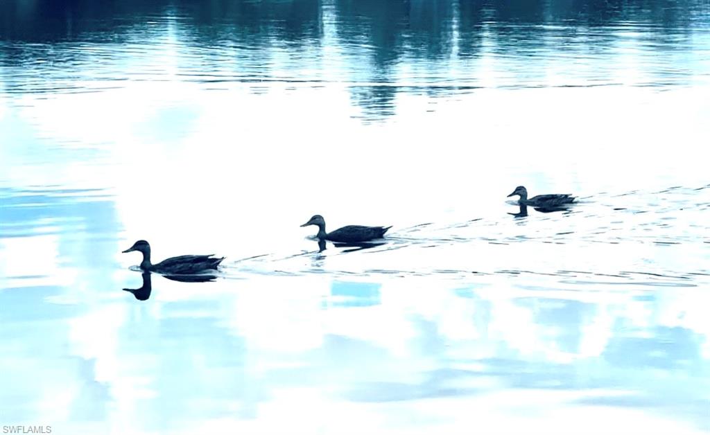 5716 Deauville CIR # 104 Unit: I-104