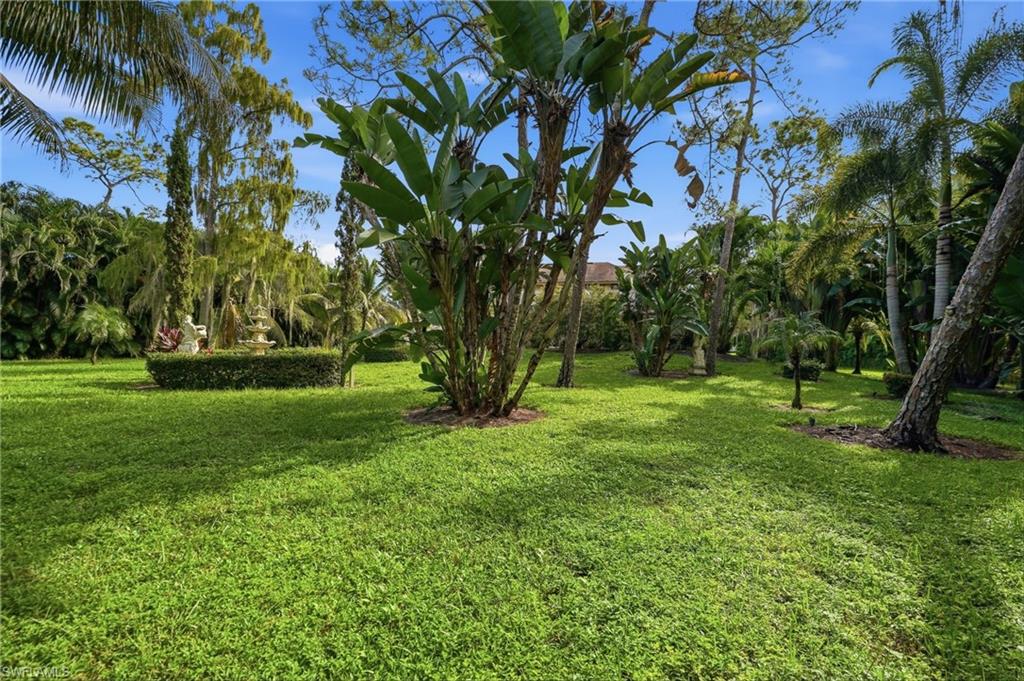 13055 White Violet DR