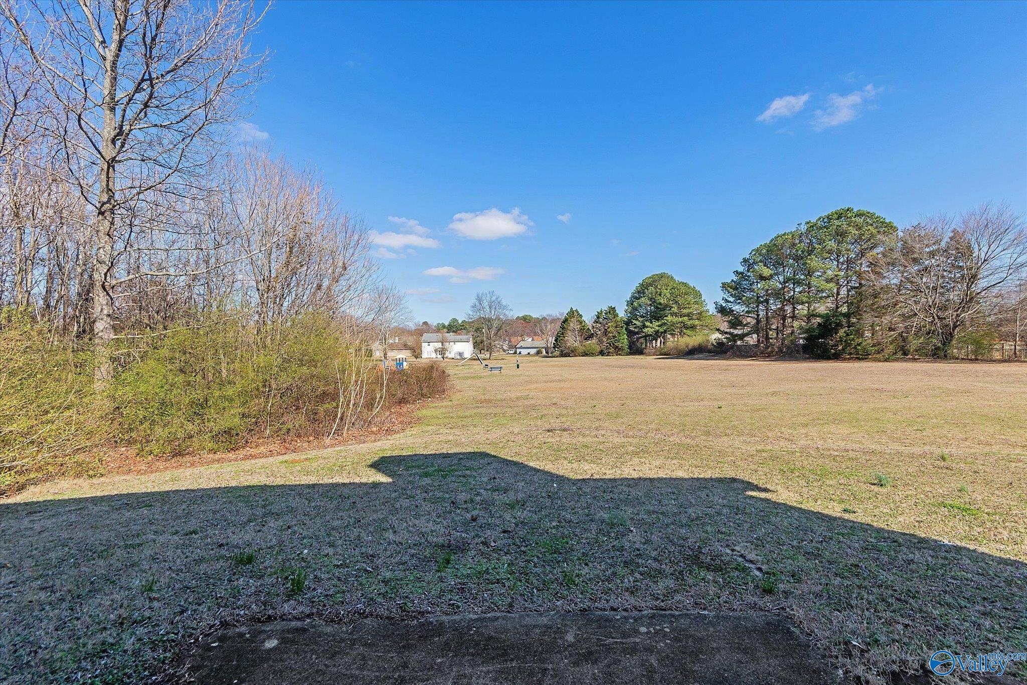 167 Brass Oak Drive