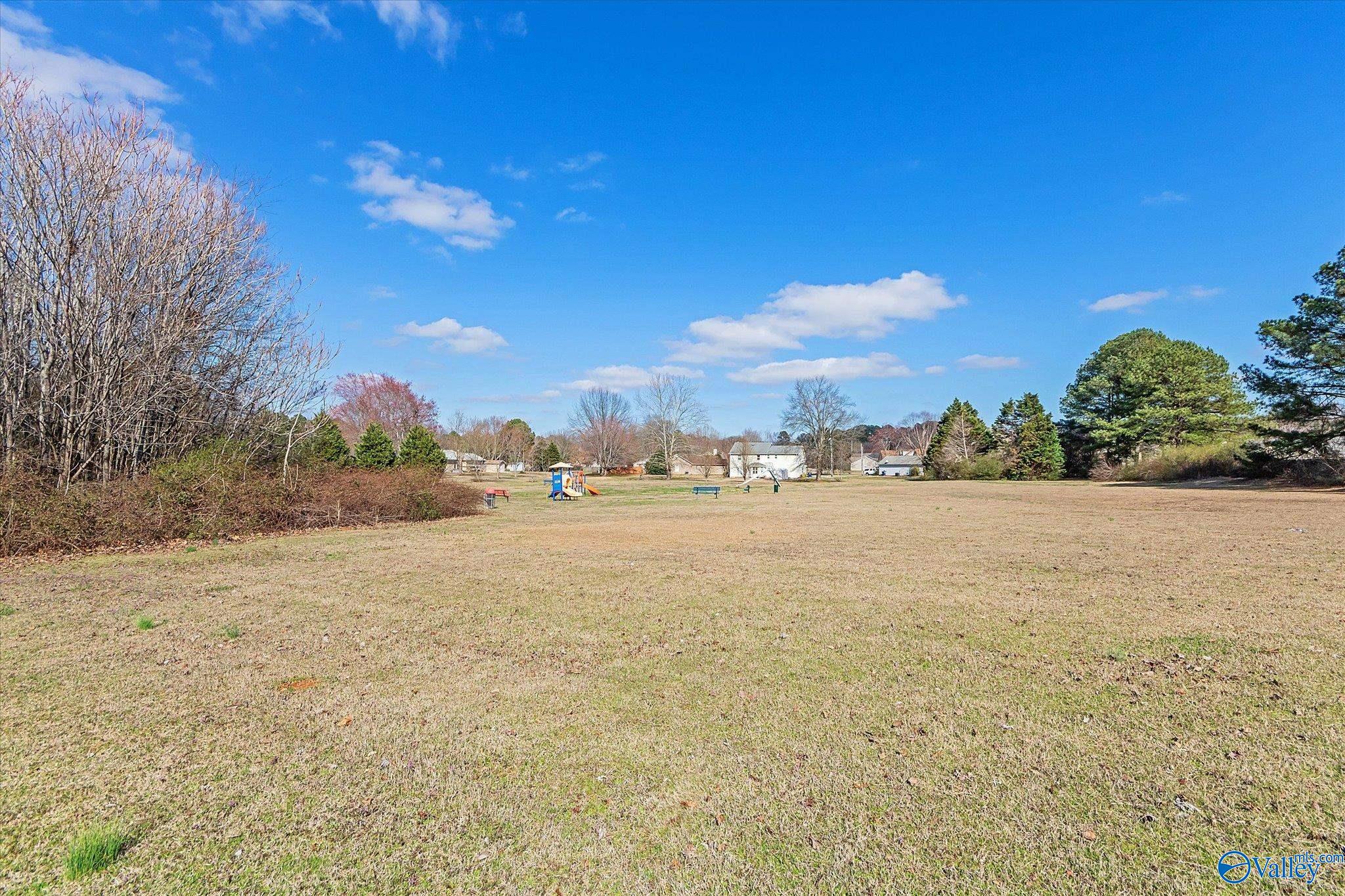 167 Brass Oak Drive