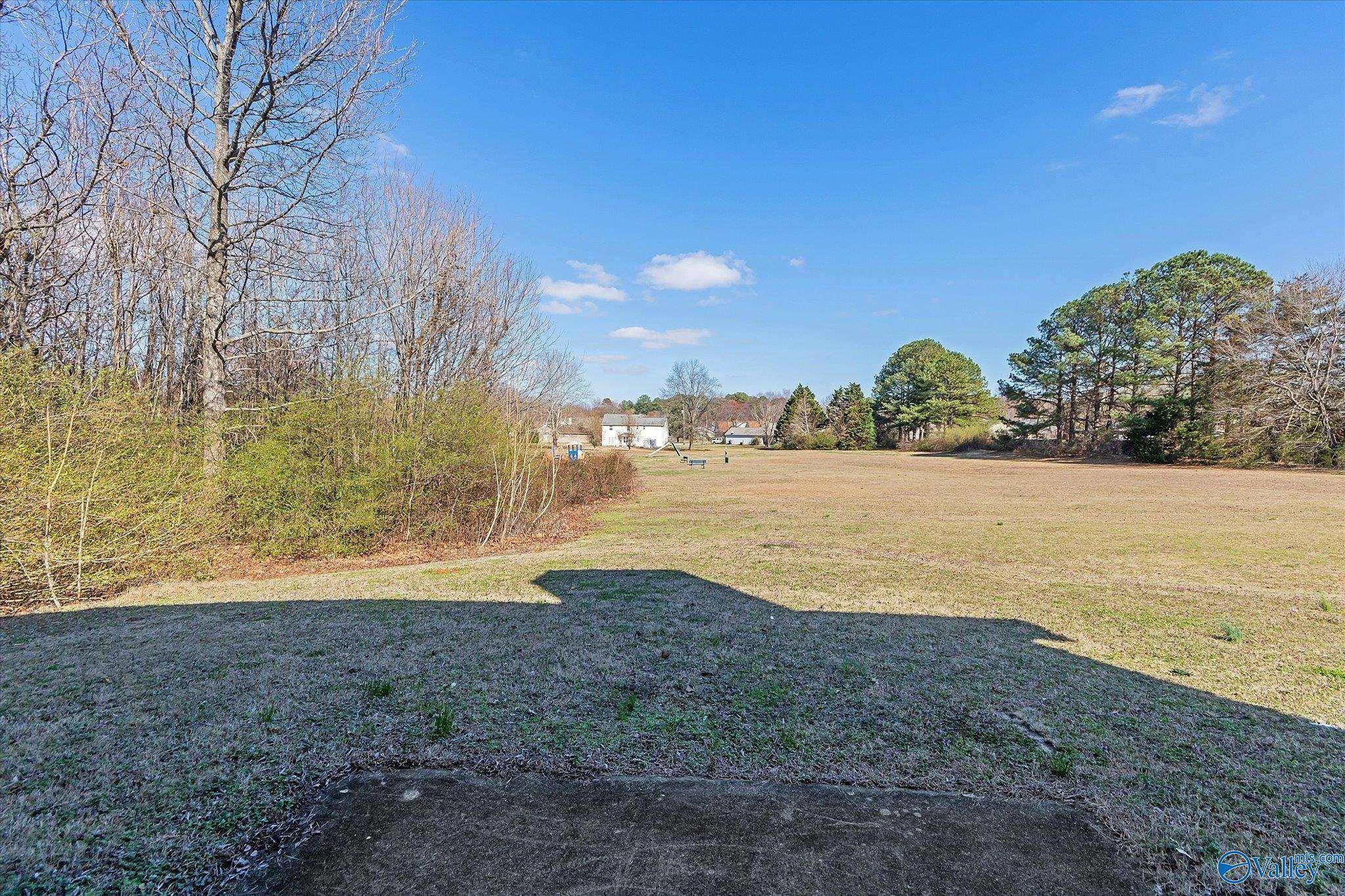167 Brass Oak Drive