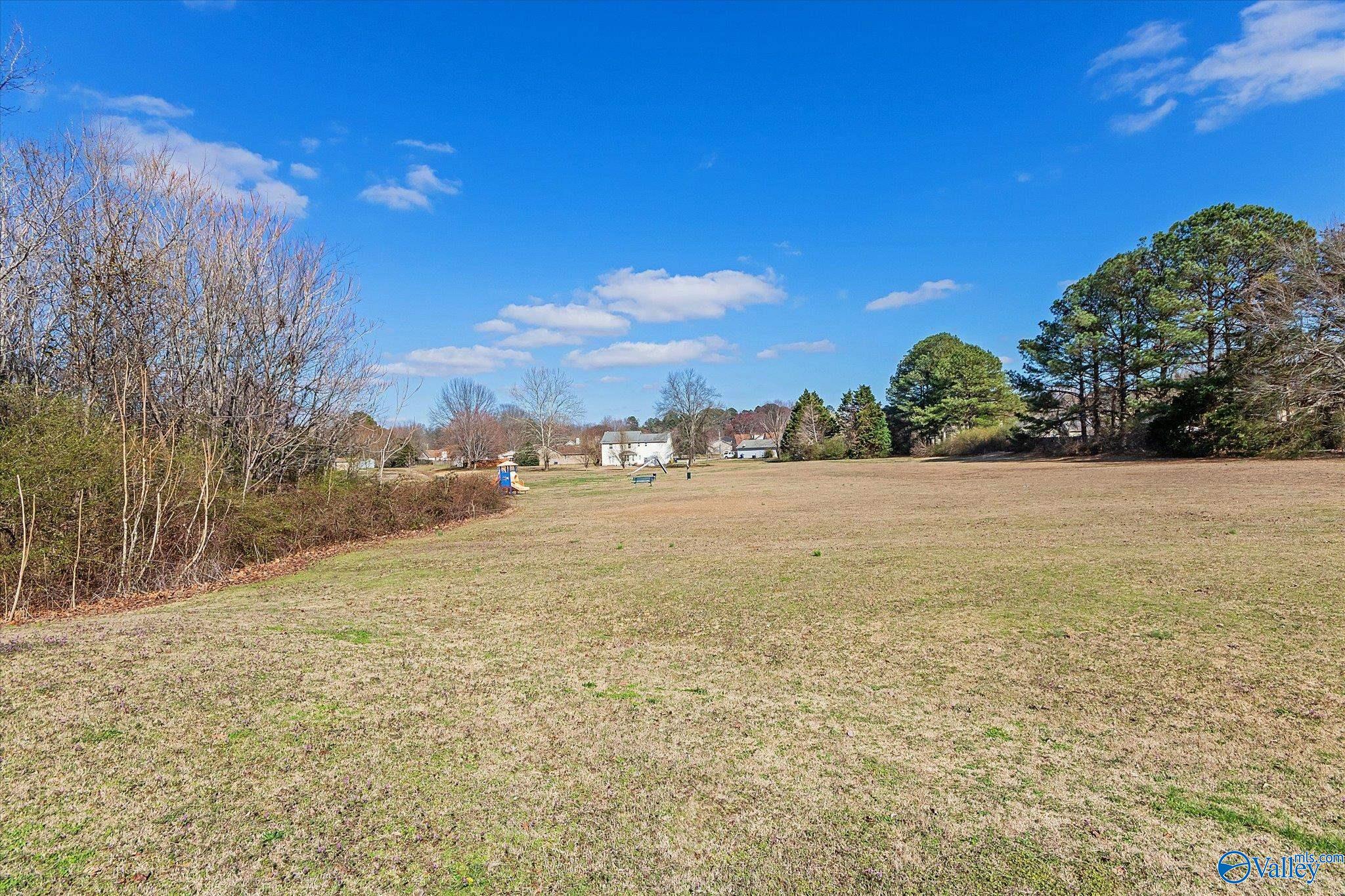 167 Brass Oak Drive