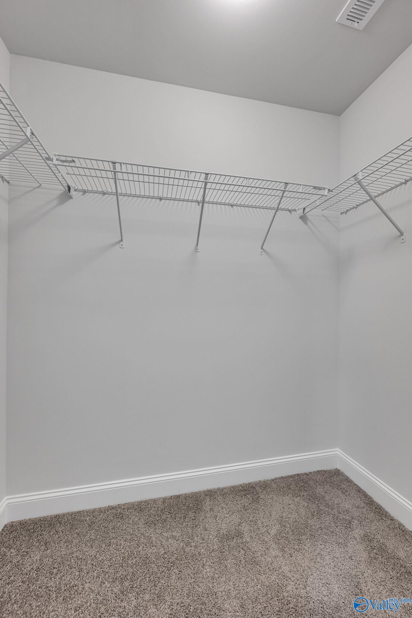 206 Gwynns Fall Trail