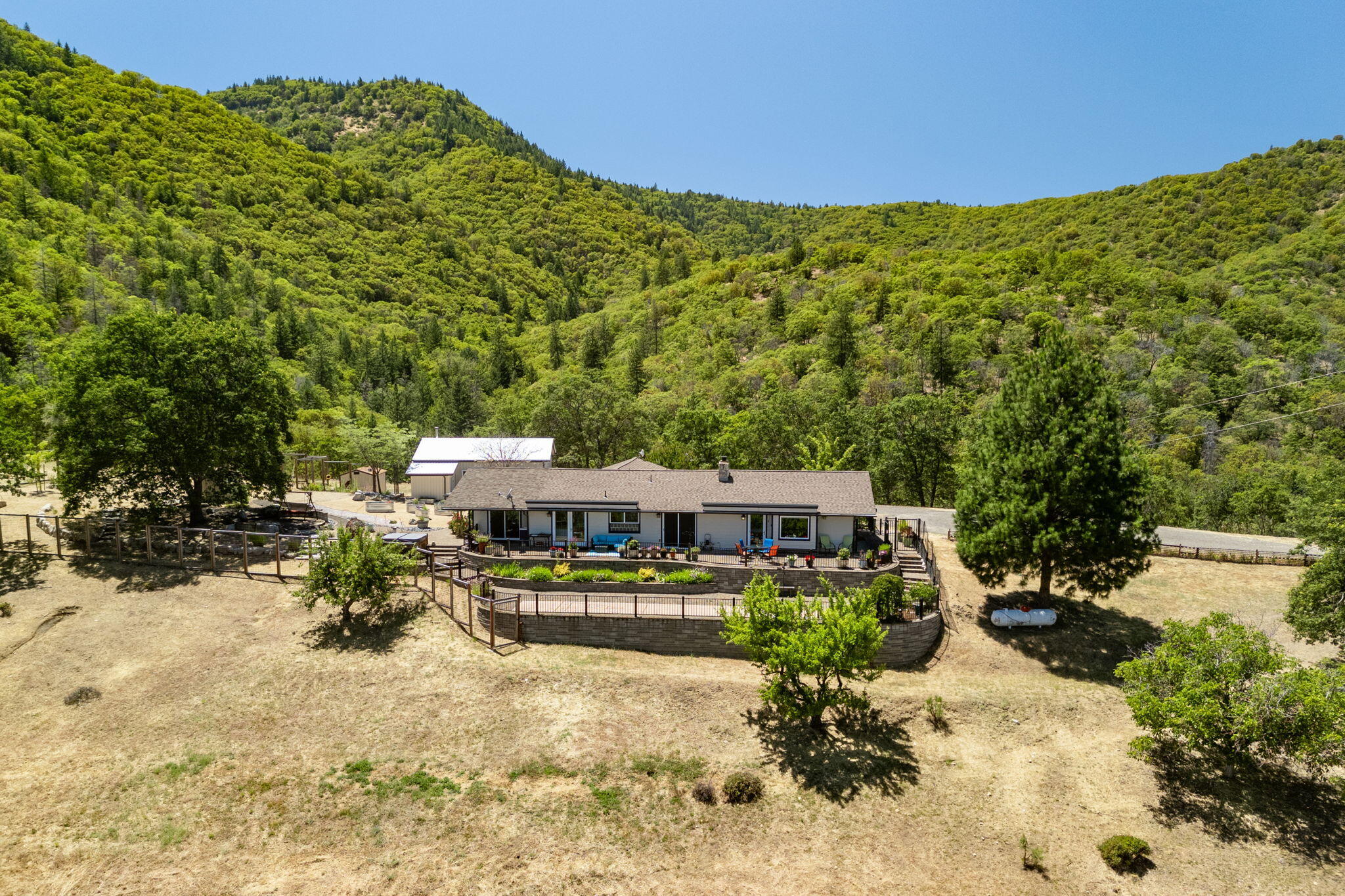 1000 Strawberry Lane