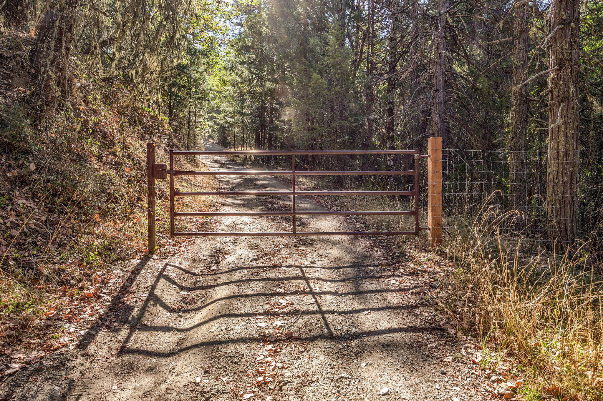 10035 Wagner Creek Road