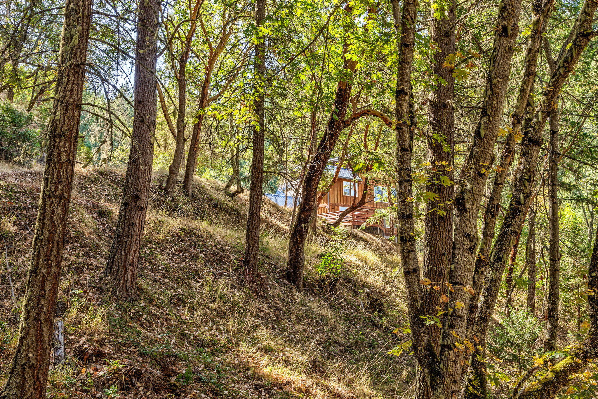 10035 Wagner Creek Road