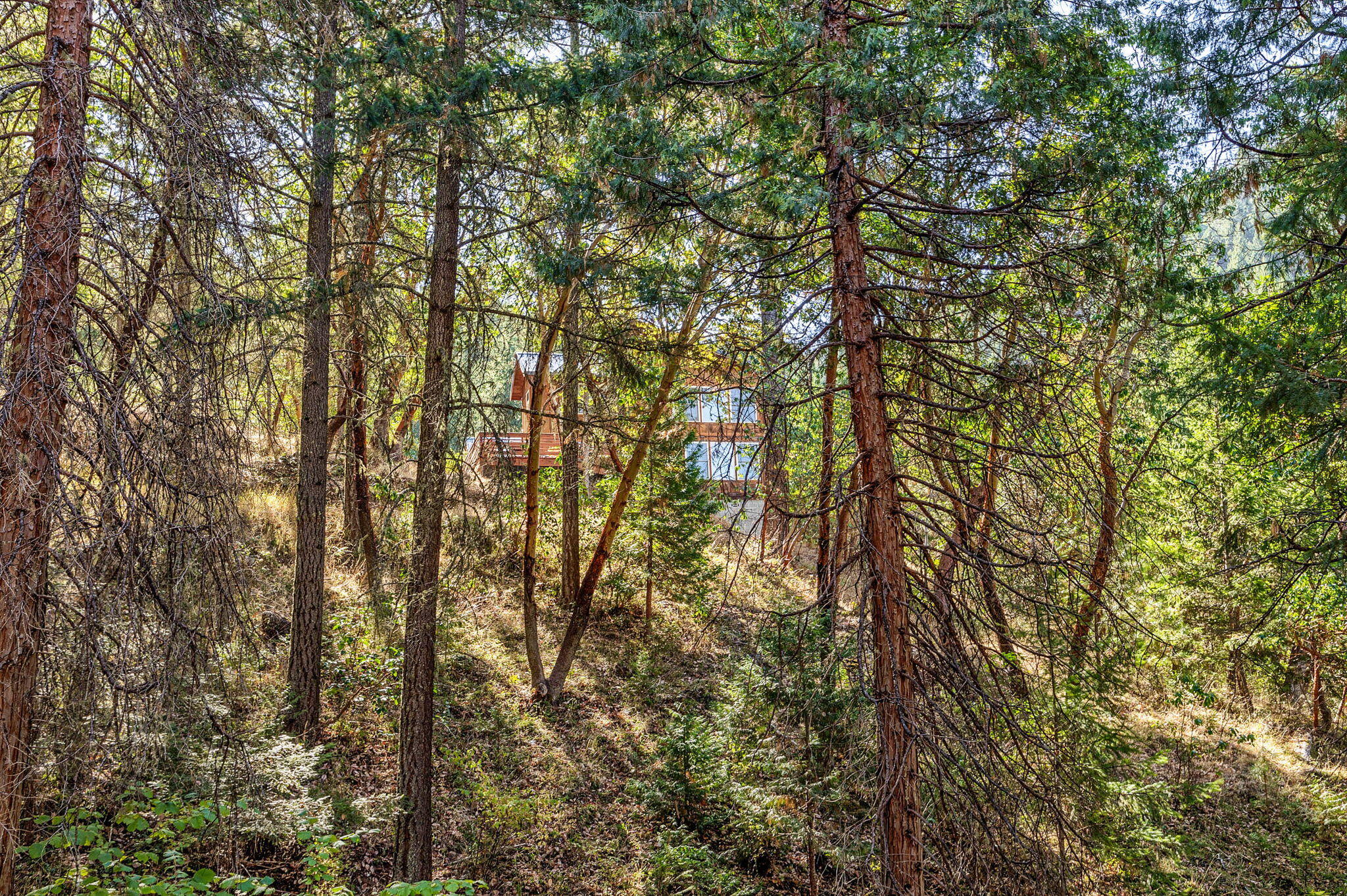 10035 Wagner Creek Road