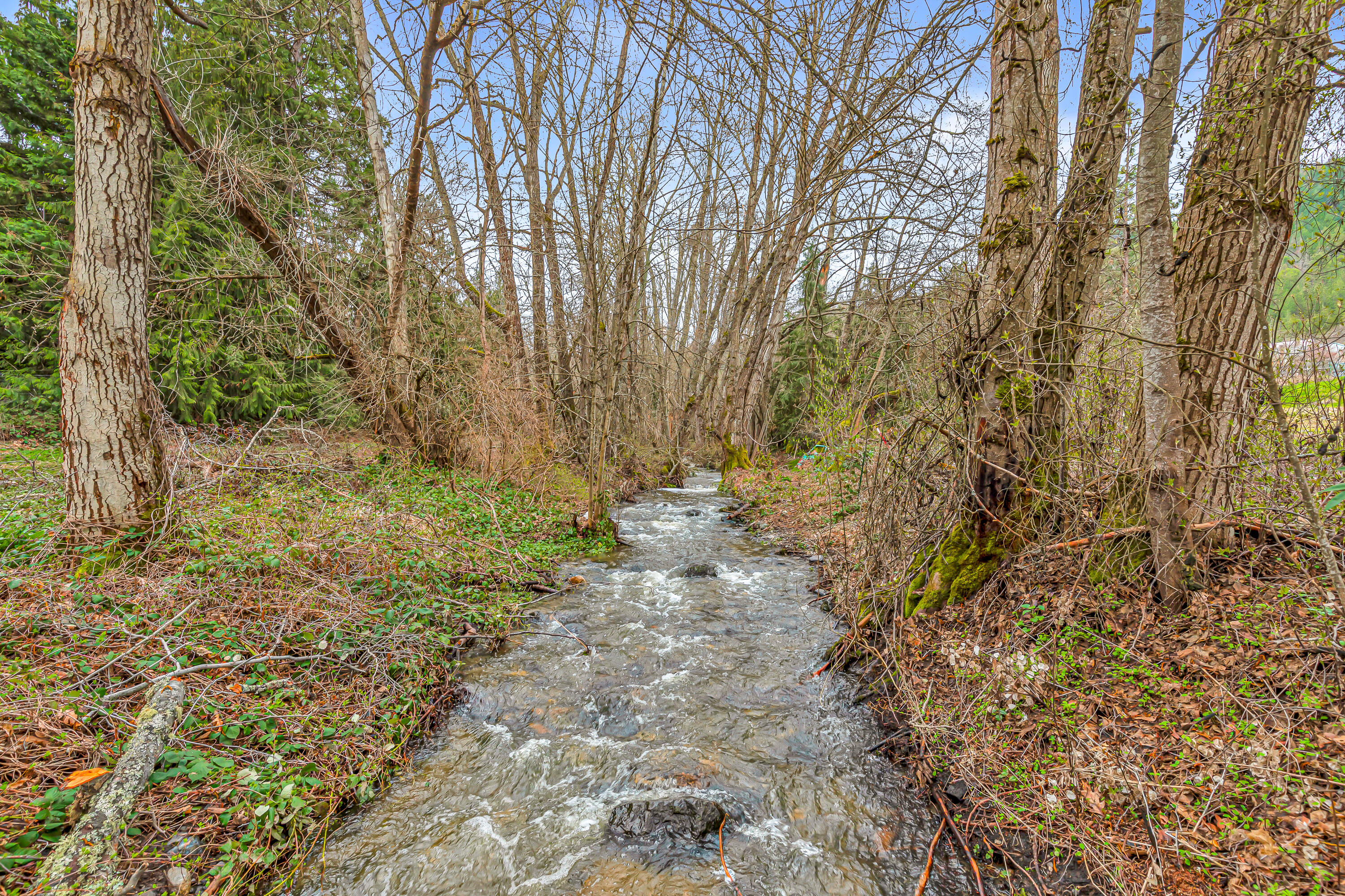 8683 Wagner Creek Road