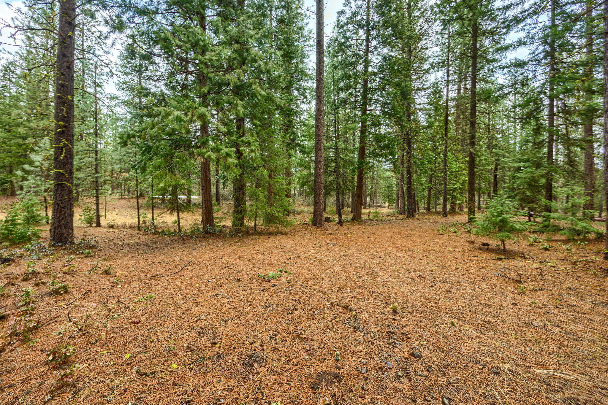 15743 Hwy 66