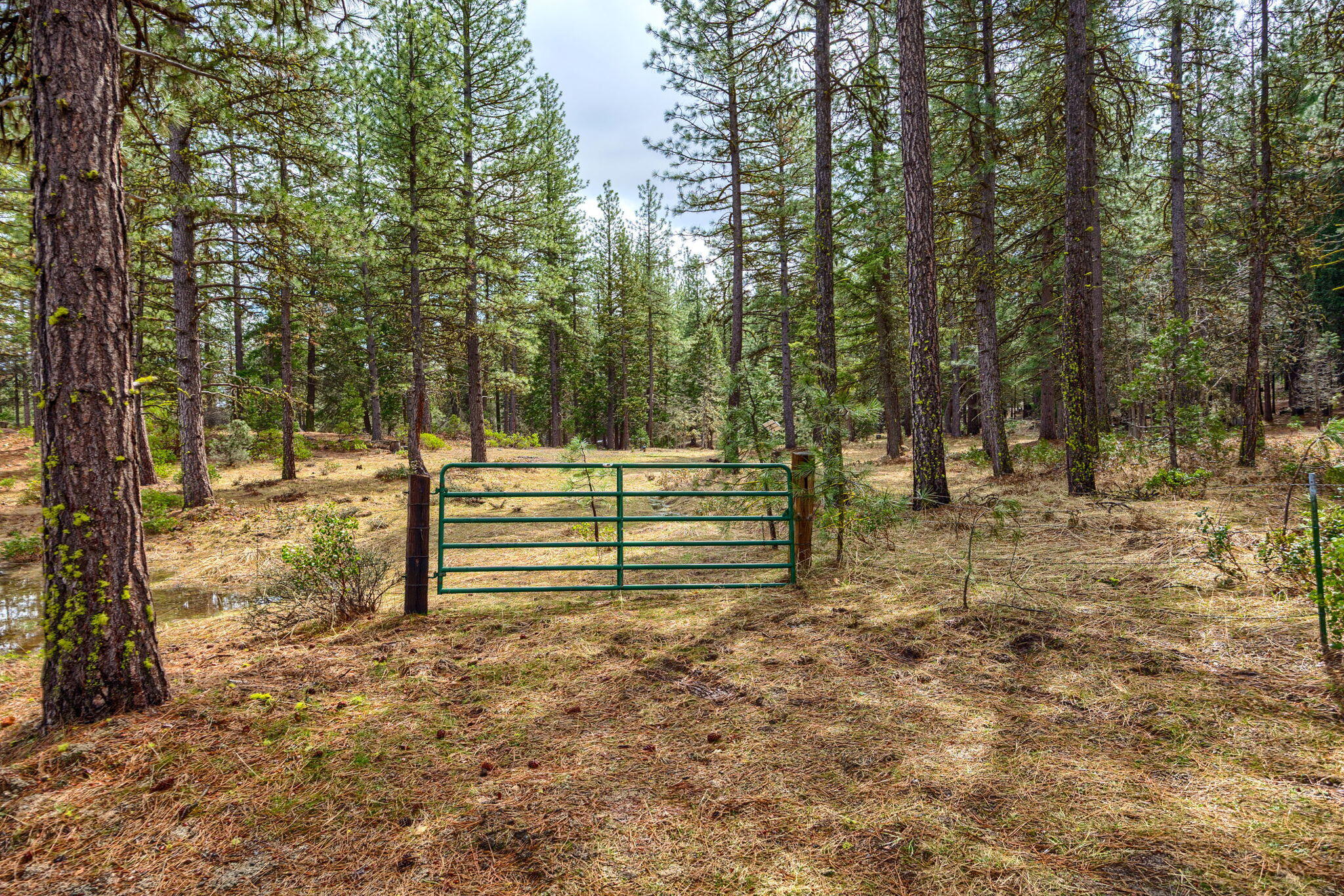 15743 Hwy 66