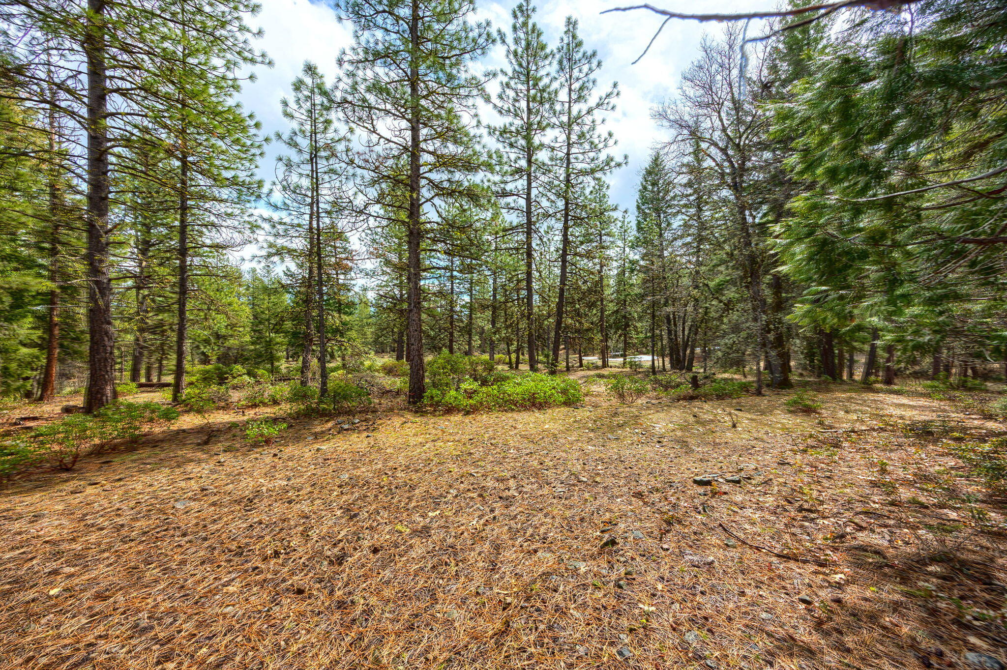 15743 Hwy 66