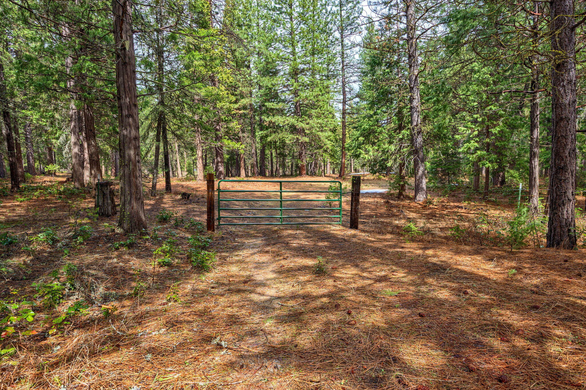 15743 Hwy 66