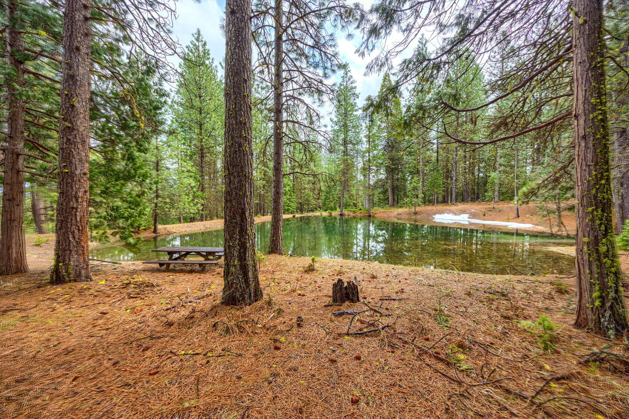 15743 Hwy 66
