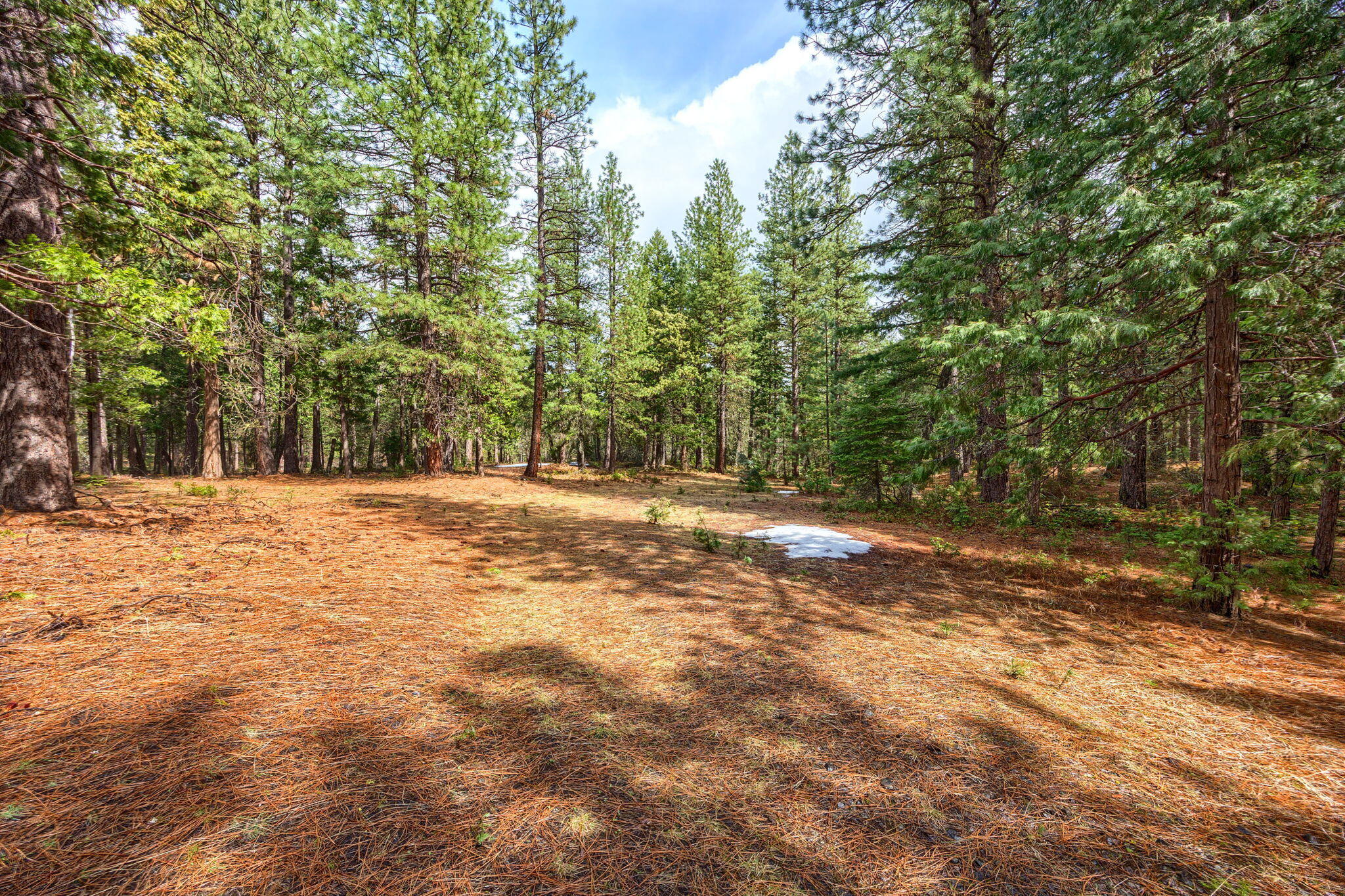 15743 Hwy 66