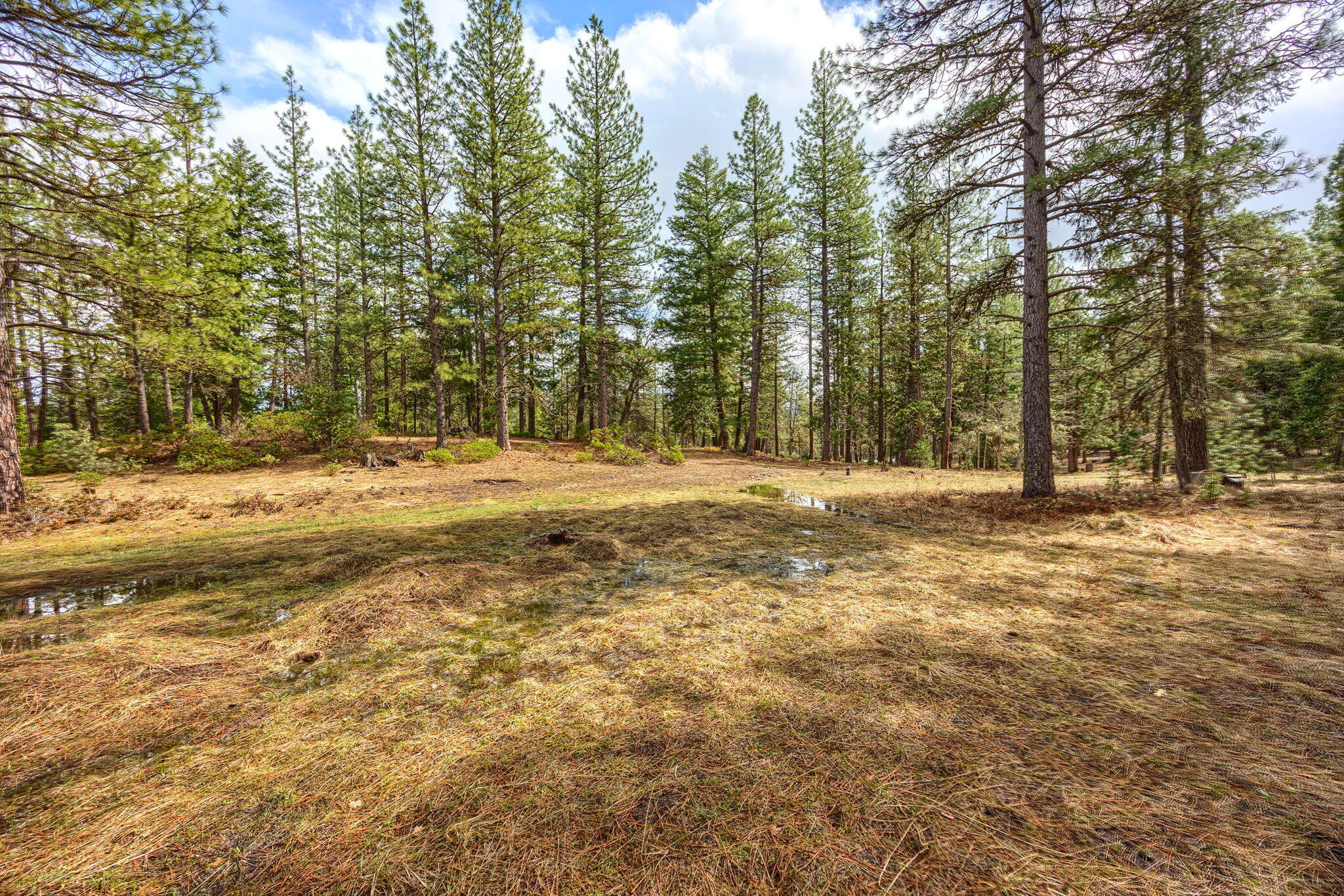 15743 Hwy 66