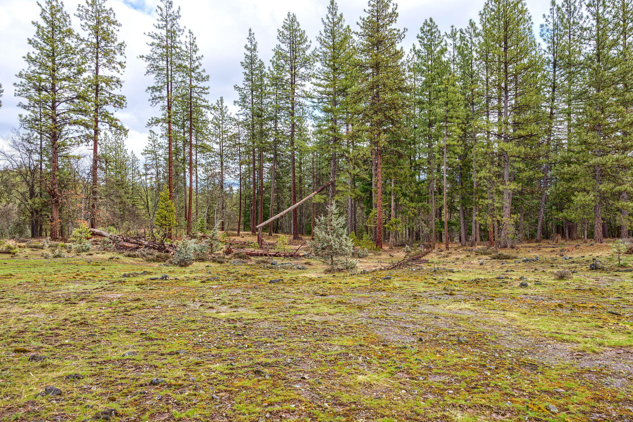 15743 Hwy 66