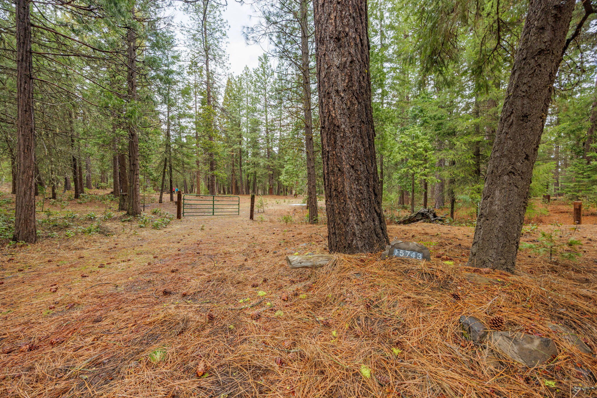 15743 Hwy 66